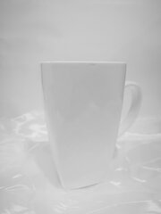 Чашка Tomcat, с местом для чайного пакетика цена и информация | Стаканы, фужеры, кувшины | pigu.lt