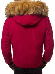 Striukė vyrams Lemor JS/201901-52657, raudona цена и информация | Мужские куртки | pigu.lt