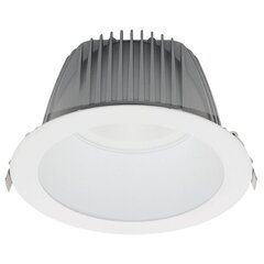 led kõrghalli mini 30w roheline цена и информация | Монтируемые светильники, светодиодные панели | pigu.lt