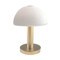 настольная лампа nola 1xg9 белый/золото с диммером цена и информация | Настольные светильники | pigu.lt