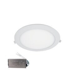 led kõrghalli mini 30w roheline цена и информация | Монтируемые светильники, светодиодные панели | pigu.lt