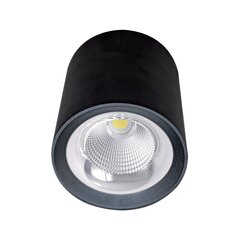 flcom led downlight surface mount 20w 230v 4000k 60° black цена и информация | Потолочные светильники | pigu.lt