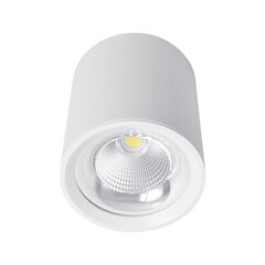 flcom led downlight surface mount 20w 230v 4000k 60° black цена и информация | Потолочные светильники | pigu.lt