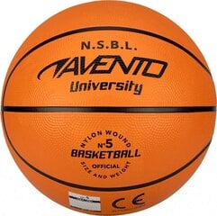 Basketball ball AVENTO JUNIOR SQUAD 47BA 5d цена и информация | Баскетбольные мячи | pigu.lt