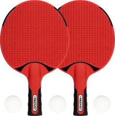 Table tennis bat set AVENTO outdoor 46TZ цена и информация | Ракетки для настольного тенниса, чехлы и наборы | pigu.lt