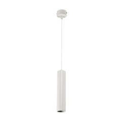 tl29 подвесной светильник 15w 4000k 24&amp;ampdeg черный 2 линии цена и информация | Монтируемые светильники, светодиодные панели | pigu.lt
