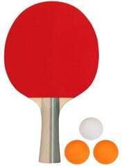 Table tennis set AVENTO for 2 players цена и информация | Ракетки для настольного тенниса, чехлы и наборы | pigu.lt