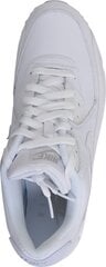 Мужская спортивная обувь Nike Air Max 90 Leather 302519-113 цена и информация | Кроссовки мужские | pigu.lt