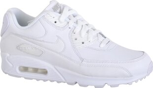 Мужская спортивная обувь Nike Air Max 90 Leather 302519-113 цена и информация | Кроссовки для мужчин | pigu.lt