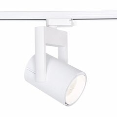 ftl35 cob track light 35w 4000k 38° белый цена и информация | Трековые светильники и шинопроводы | pigu.lt