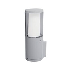 carlo led garden wall lamp 6w cct 4000k ip55 grey цена и информация | Уличные светильники | pigu.lt