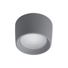 livia 160 led потолочный светильник 10w cct 4000k ip55 серый цена и информация | Монтируемые светильники, светодиодные панели | pigu.lt