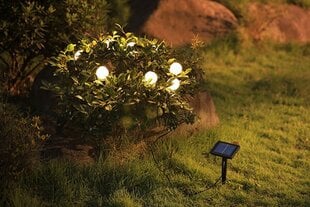 solar led string light 23439 0.6w 8pcs. 2000k ip68 цена и информация | Уличные светильники | pigu.lt