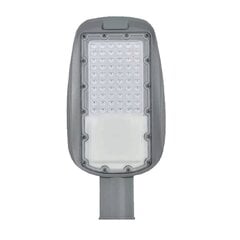 prague smd led street light 250w 3000k ip65 high efficiency цена и информация | Уличные светильники | pigu.lt