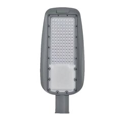 prague smd led street light 250w 3000k ip65 high efficiency цена и информация | Уличные светильники | pigu.lt