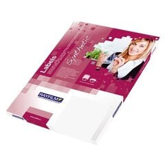 Клейкая полиэфирная пленка Rayfilm Laser Synthetic PET film Labels, матовая серебристая, А4, 10 листов цена и информация | Kanceliarinės prekės | pigu.lt