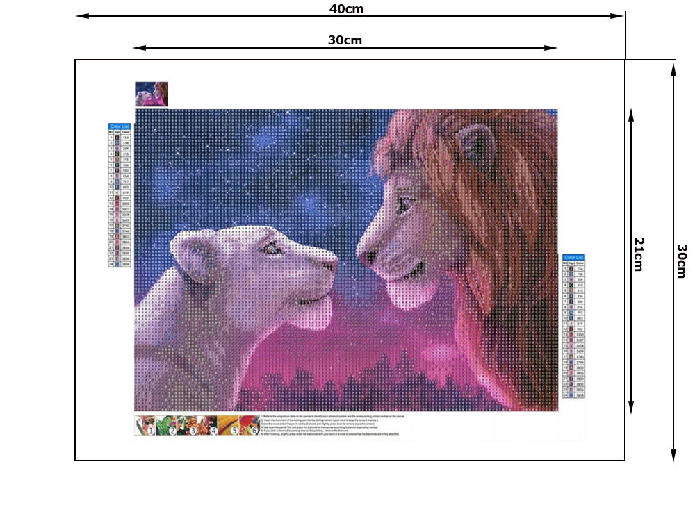Deimantinės mozaikos rinkinys Liūtas karalius, 30x40cm цена и информация | Deimantinės mozaikos | pigu.lt