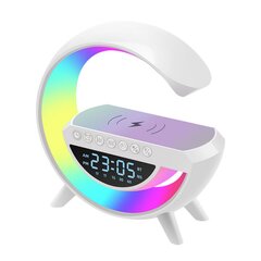 3 in 1 RGB lempa su bevielio pakrovimo stotele ir bluetooth funkcija kaina ir informacija | Įkrovikliai nešiojamiems kompiuteriams | pigu.lt