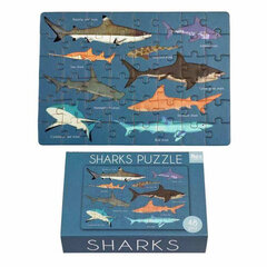 Dėlionė Rykliai Rex London, 48 d. kaina ir informacija | Dėlionės (puzzle) | pigu.lt