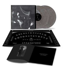 Виниловая пластинка 2LP Duran Duran Danse Macabre цена и информация | Виниловые пластинки, CD, DVD | pigu.lt