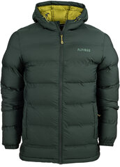 Striukė vyrams Alpinus Felskinn II HO18796, žalia цена и информация | Мужские куртки | pigu.lt