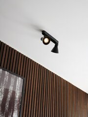 Nordlux потолочный светильник, прожектор Eik 35W, 45770103 цена и информация | Потолочные светильники | pigu.lt