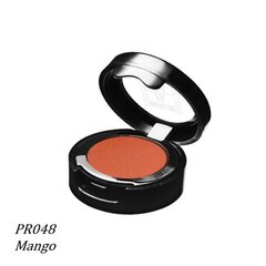 Skaistalai Make-up Atelier Paris, PR48 Mango, 3,2 g kaina ir informacija | Bronzantai, skaistalai | pigu.lt