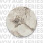 Lentyna Asir, 87,5x175x30cm, balta/auksinė цена и информация | Lentynos | pigu.lt