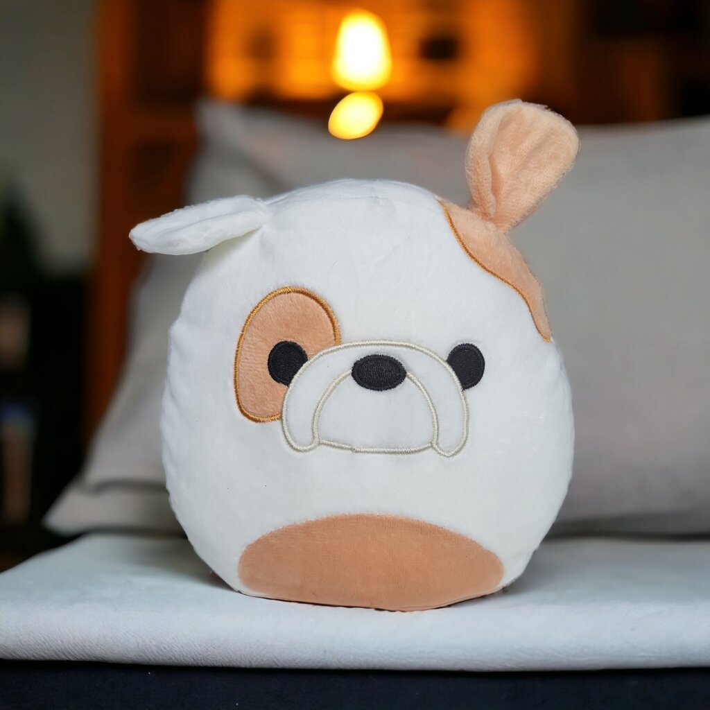 Pliušinis žaislas HappyJoe Squishmallows, baltas buldogas, 20cm kaina ir informacija | Minkšti (pliušiniai) žaislai | pigu.lt