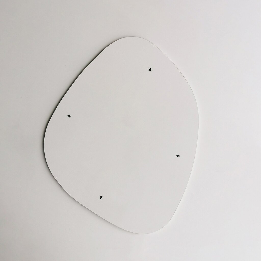 Veidrodis Asir, 58x75x0,18cm, sidabrinis kaina ir informacija | Vonios veidrodžiai | pigu.lt