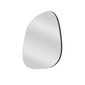 Veidrodis Asir, 58x75x0,18cm, sidabrinis kaina ir informacija | Vonios veidrodžiai | pigu.lt