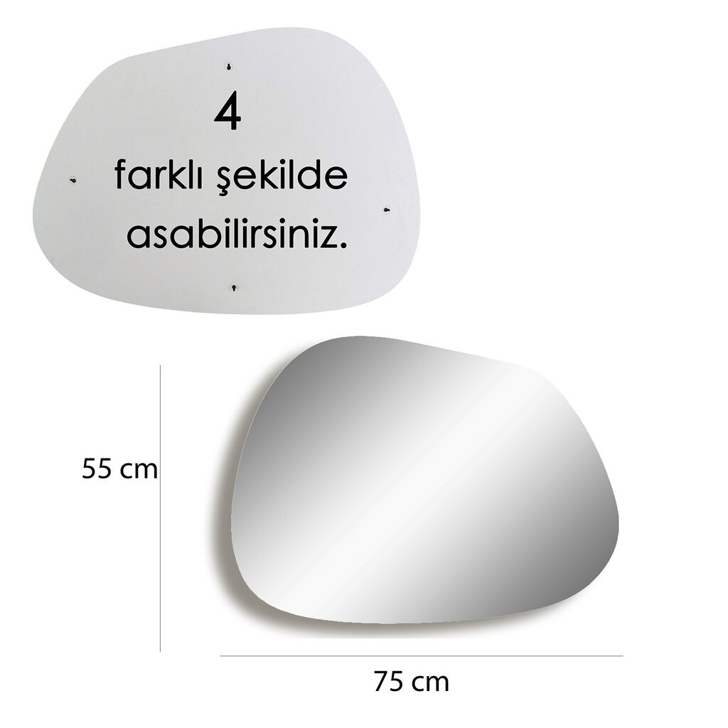 Veidrodis Asir, 75x55x0,18cm, sidabrinis kaina ir informacija | Vonios veidrodžiai | pigu.lt