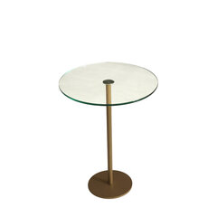 Кофейный столик Asir, 40x50x40см, золотистый цена и информация | Журнальные столики | pigu.lt