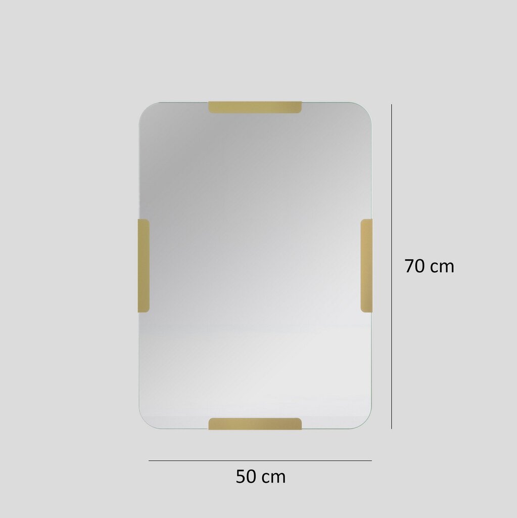 Veidrodis Asir, 50x70cm, auksinis kaina ir informacija | Vonios veidrodžiai | pigu.lt