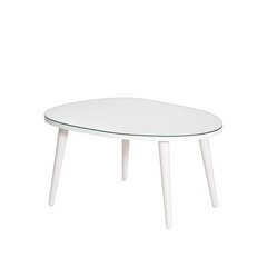Кофейный столик Asir, 75x38x55см, белый цена и информация | Журнальные столики | pigu.lt