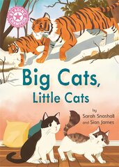 Reading Champion: Big Cats, Little Cats: Independent Reading Pink 1B Non-fiction kaina ir informacija | Knygos paaugliams ir jaunimui | pigu.lt