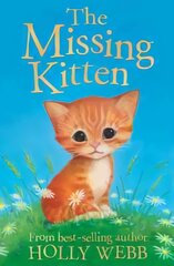 Missing Kitten цена и информация | Книги для подростков и молодежи | pigu.lt