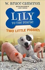 Lily to the Rescue: Two Little Piggies цена и информация | Книги для подростков и молодежи | pigu.lt