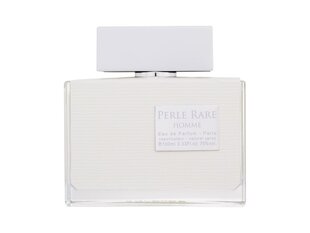 Kvapusis vanduo vyrams Panouge Perle Rare Homme EDP, 100 ml kaina ir informacija | Kvepalai vyrams | pigu.lt