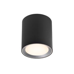 Nordlux потолочный светильник для ванны IP IP44 2110670103 цена и информация | Потолочные светильники | pigu.lt