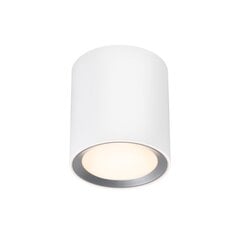 Nordlux потолочный светильник для ванны Landon IP44 2110670101 цена и информация | Потолочные светильники | pigu.lt