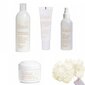 Kosmetikos dovanų rinkinys Ziaja Naturally Care moterims: dieninis ir naktinis kremas, 50 ml + serumas, 30 ml + dušo žėlė, 400 ml + odą valantis tonikas, 200 ml цена и информация | Veido aliejai, serumai | pigu.lt