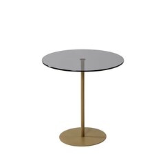 Kavos staliukas Asir, 50x50x50cm, auksinis/pilkas kaina ir informacija | Kavos staliukai | pigu.lt