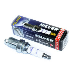 Свеча зажигания Brisk Silver, DR15YS LPG CNG, 1 шт. цена и информация | Автопринадлежности | pigu.lt