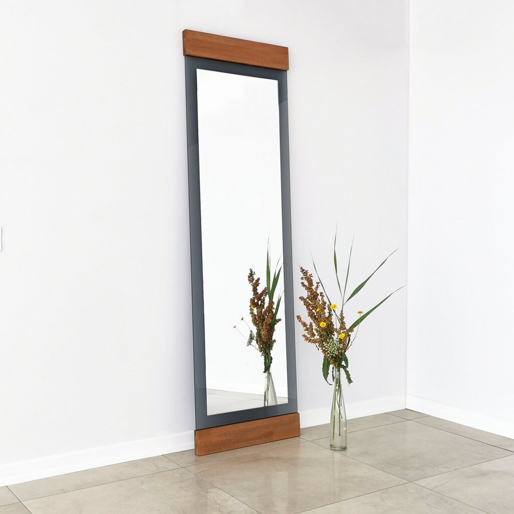 Veidrodis Asir, 50x170x3cm, pilkas/rudas цена и информация | Vonios veidrodžiai | pigu.lt