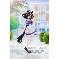 Figūrėlė Banpresto Umamusume Pretty Derby Kitasan, 18 cm kaina ir informacija | Žaislai berniukams | pigu.lt