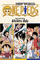 One Piece (Omnibus Edition), Vol. 23: Includes vols. 67, 68 & 69 цена и информация | Fantastinės, mistinės knygos | pigu.lt