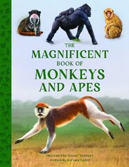 Magnificent Book of Monkeys and Apes цена и информация | Книги для подростков  | pigu.lt