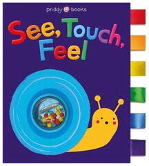 See, Touch, Feel: Cloth цена и информация | Книги для самых маленьких | pigu.lt