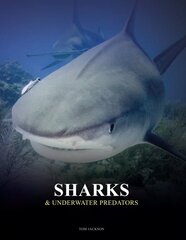 Sharks and Underwater Predators kaina ir informacija | Fotografijos knygos | pigu.lt